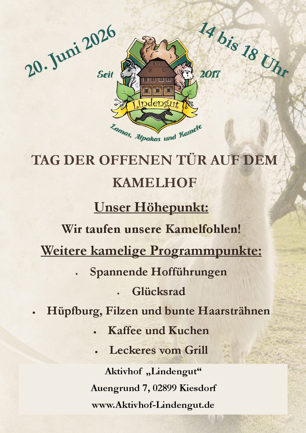 Flyer_2026